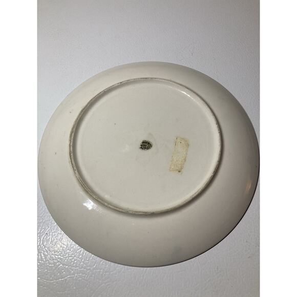 Vintage ILLINOIS Chicago Points of Interest Blue & White Souvenir Plate - Picture 3 of 3